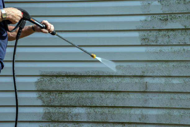 Roof Power Washing Services in Ridgely, MD